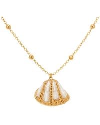 My Little Nature - Natural Seashell Necklace With Plated Chain - Lyst