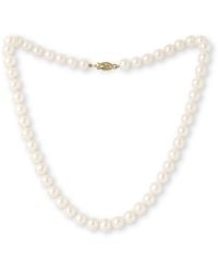 Pearls of the Orient Online - Gratia Almost Round Cultured Freshwater Pearl Necklace With Clasp - Lyst