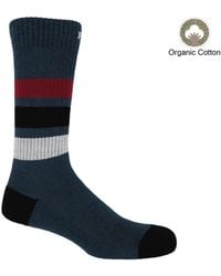 Peper Harow - Made in England - Striped Organic Sport Socks – - Lyst