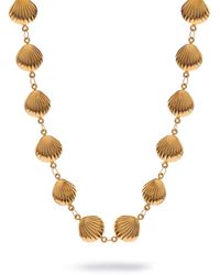 Ebru Jewelry - Sun Kissed Seashell Energy Necklace - Lyst