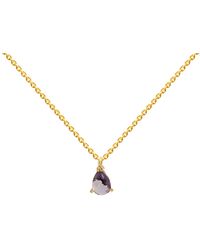 Lavani Jewels - Pride Mini Necklace - Lyst
