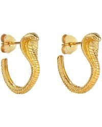 Zoe & Morgan - Cobra Hoops - Lyst