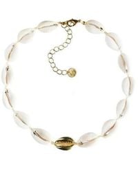 Adriana Pappas Designs - Mini Metal Shell Accent Choker - Lyst