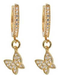 Ebru Jewelry - Plated Sterling Silver Sparkly Butterfly Earrings - Lyst