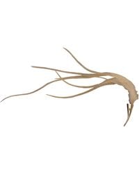 Romer Millinery - Neutrals Feather Clip For Hair, Hats, Turbans & Lapel Off - Lyst