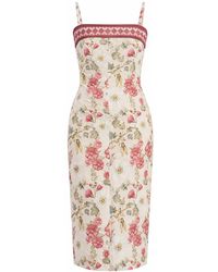 Malo - Burgundy - Lyst