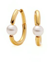 Shabella Nyc - Bold Pearl Tube Hoops - Lyst