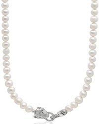 Nialaya - White Pearl Necklace With Panther Head Lock - Lyst