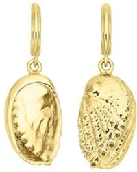 Zoe & Morgan - Soul Paua Earrings - Lyst