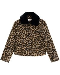 Louche - Apple Animal Teddy Faux Fur Collar Jacket - Lyst