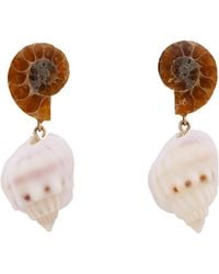 Oana Savu - Ammonite Fossils Seashells Shells Earrings Studs - Lyst