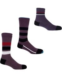 Peper Harow - Made in England - Mauve & Coral Luxury Sports Socks Bundle - Lyst
