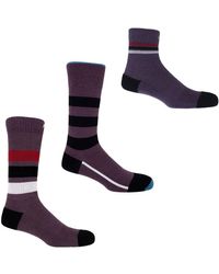 Peper Harow - Made in England - Organic Sports Socks Bundle – - Lyst