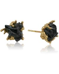 Karolina Bik Jewellery Naphta Earrings Gold & Black - Metallic