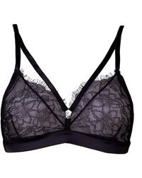 Noblesse Oblige - Solstice Triangle - Lyst