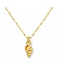 Mother Nature Jewelry - Sea Shell Pendant, Handmade Minimalist Necklace - Lyst