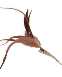 Romer Millinery - Neutrals Feather Clip For Hats, Hair, Turbans & Lapel Rust On - Lyst