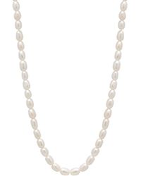 Spero London - Natural Freshwater Real Seed Pearl Strand Necklace - Lyst