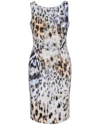 Conquista - Sleeveless Fitted Animal Print Dress In Cotton Elastane - Lyst