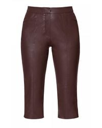 AGGI by HALEWSKI - Capri Dakota Chocolate Below Short Pants - Lyst