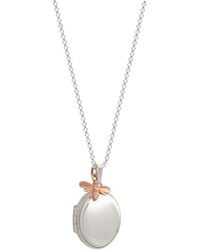 Lime Tree Design - Oval Locket With Bee Necklace Sterling - Lyst
