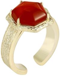 Retro Chic - Agate Tiger Ring - Lyst