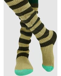 HIGH HEEL JUNGLE by KATHRYN EISMAN - Candy Thigh High Sock - Lyst