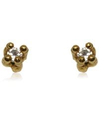Karolina Bik Jewellery Coral Delicate Earrings Gold With Topaz - Metallic
