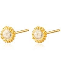 Lily Charmed - Plated Sunflower Stud Earrings - Lyst