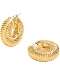 Bermuda Watch Company - Annie Apple Lilia Chubby Hoop Ridge Earrings - Lyst