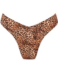 Soleil State - Sunseeker Leopard - Lyst