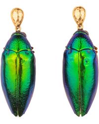 Oana Savu - Real Beetle Scarab Insect Drop Earrings Ear Studs - Lyst
