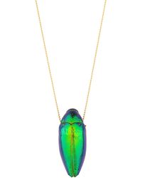 Oana Savu - Scarab Necklace And Real Beetle Insect Pendant - Lyst