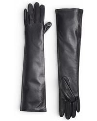 HIGH HEEL JUNGLE by KATHRYN EISMAN - Florence Lambskin Leather Opera Length Gloves - Lyst