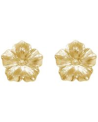 Agora Jewellery - Bavella Mini Earrings - Lyst