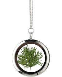 My Little Nature - Designer Jewellery Necklace With Natural Pine Needles - Lyst