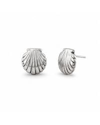 Gold & Honey - Scallop Shell Stud Earrings - Lyst