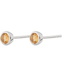 Lily Charmed - November Birthstone Earrings - Lyst
