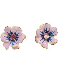 The Pink Reef - Small Jewel Box - Lyst