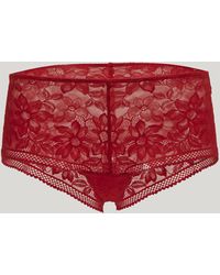 Wolford - Lace High Waist Panty, Femme, Glow, Taille - Lyst