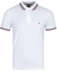 black tommy polo