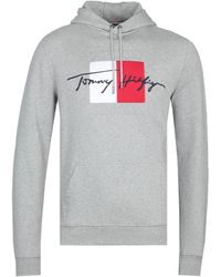 signature hoodie tommy hilfiger