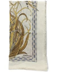 Ferragamo - "Rooster" Cashmere And Silk Scarf - Lyst