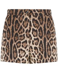 Dolce & Gabbana - Dolce & Gabbana Leopard Print Cotton Shorts - Lyst
