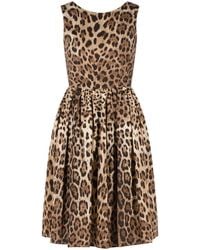 Dolce & Gabbana - Dolce & Gabbana Leopard Print Cotton Dress - Lyst