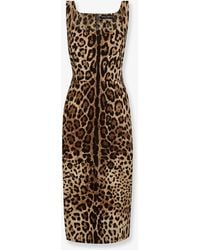 Dolce & Gabbana - Dolce & Gabbana Midi Dress With Animal Print - Lyst