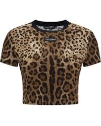 Dolce & Gabbana - Dolce & Gabbana Leopard-Print Cropped T-Shirt - Lyst