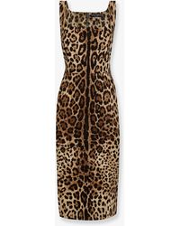 Dolce & Gabbana - Dolce & Gabbana Midi Dress With Animal Print - Lyst
