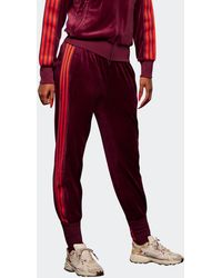 adidas Ivy Park X Velour Track Pant - Red