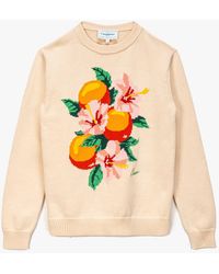 casablanca orange sweater